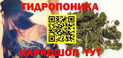 a pvp Рыбинск