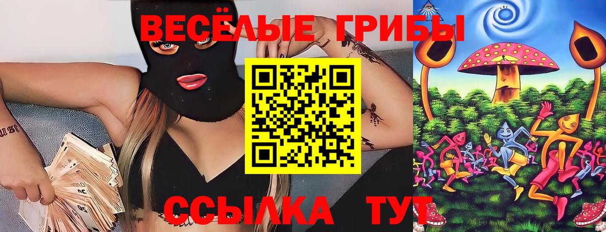 Галлюциногенные грибы Psilocybe Морозовск