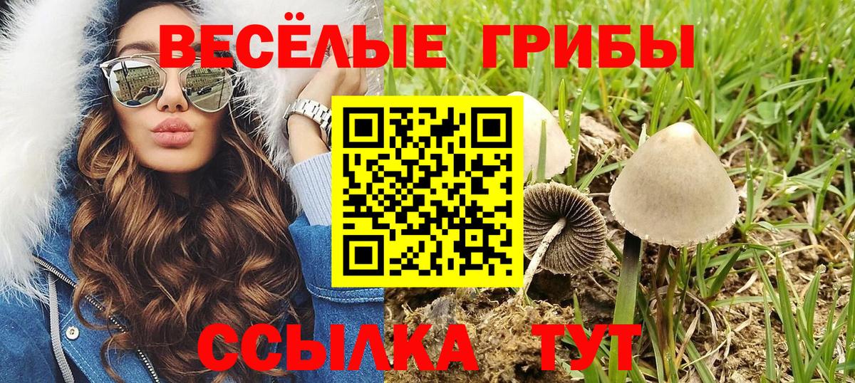 Галлюциногенные грибы ЛСД  Псилоцибиновые грибы ЛСД  Морозовск  Вход с VPN 